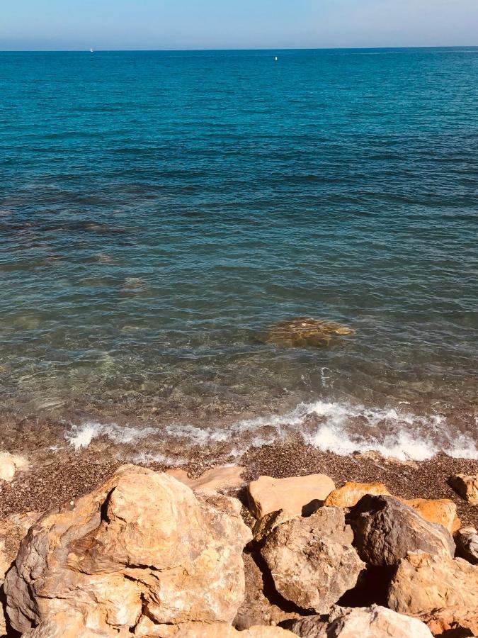Antibes Secured Parc Velusine With Private Parking, Terrace, Pools And Tennis Courts. المظهر الخارجي الصورة