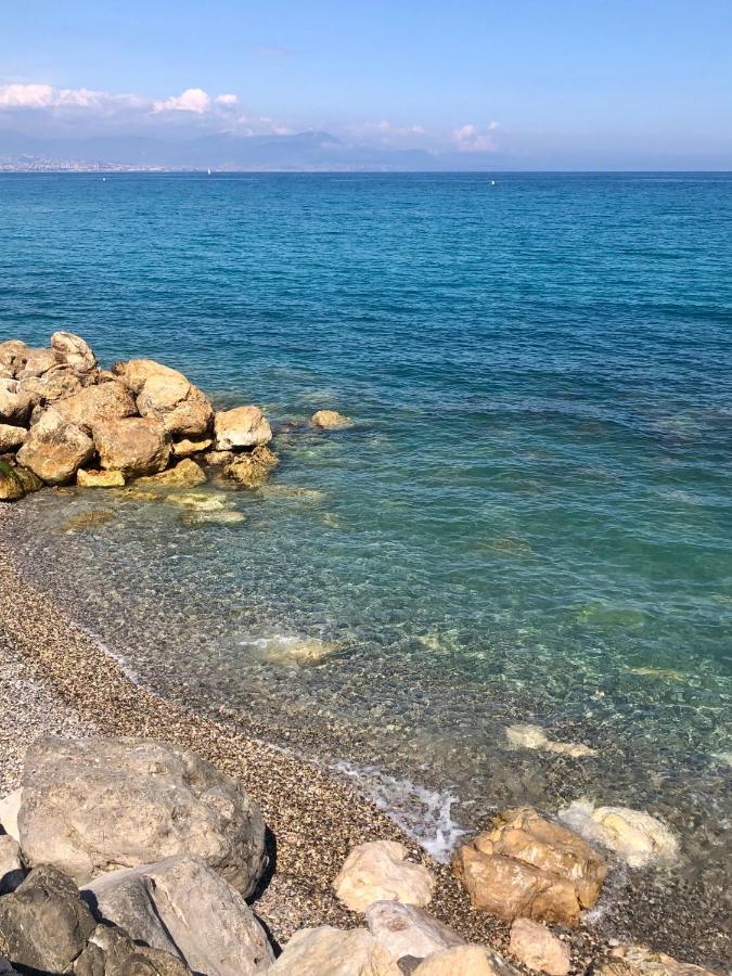 Antibes Secured Parc Velusine With Private Parking, Terrace, Pools And Tennis Courts. المظهر الخارجي الصورة