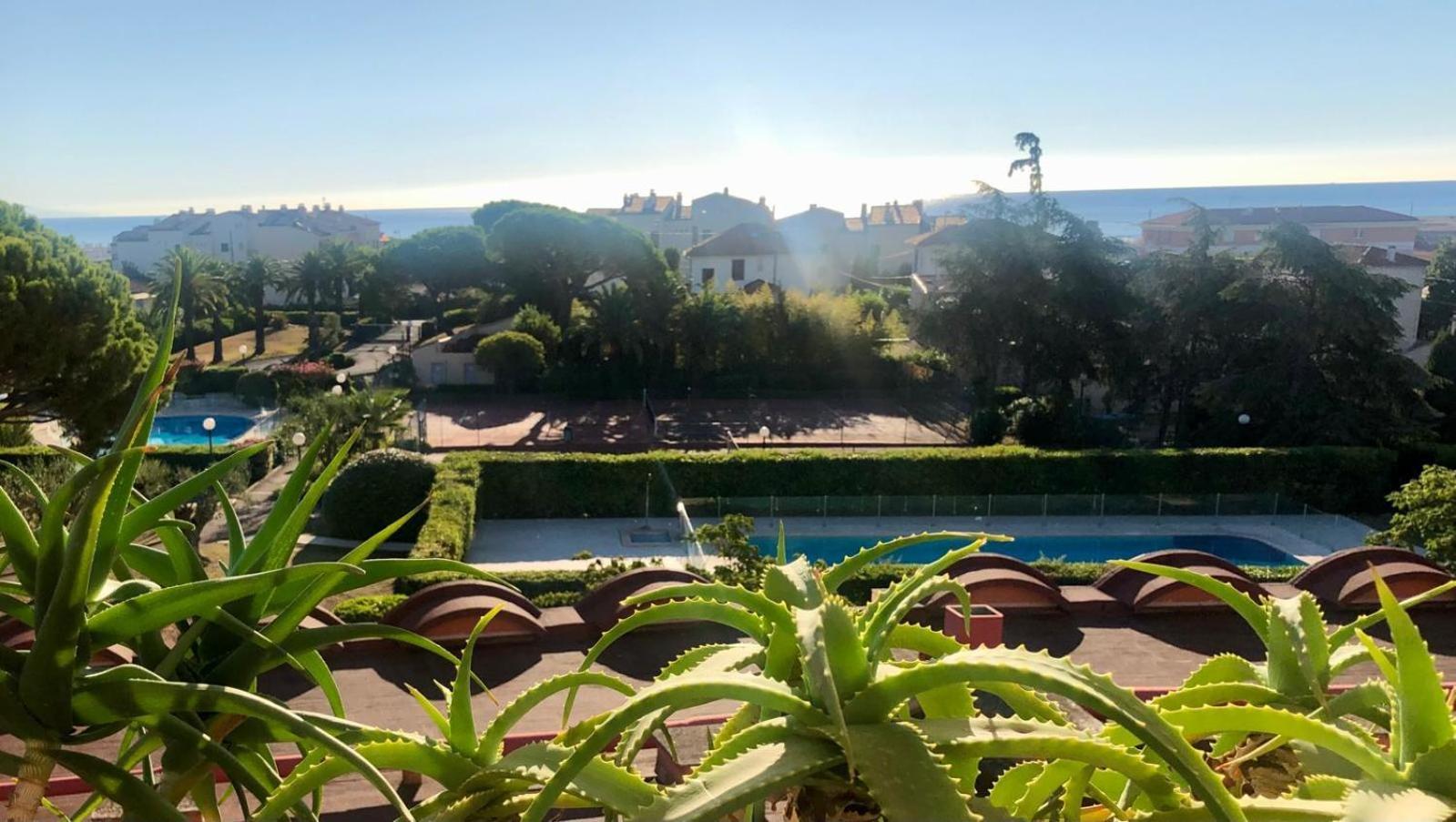 Antibes Secured Parc Velusine With Private Parking, Terrace, Pools And Tennis Courts. المظهر الخارجي الصورة
